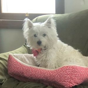 Meet your Posher, Beth